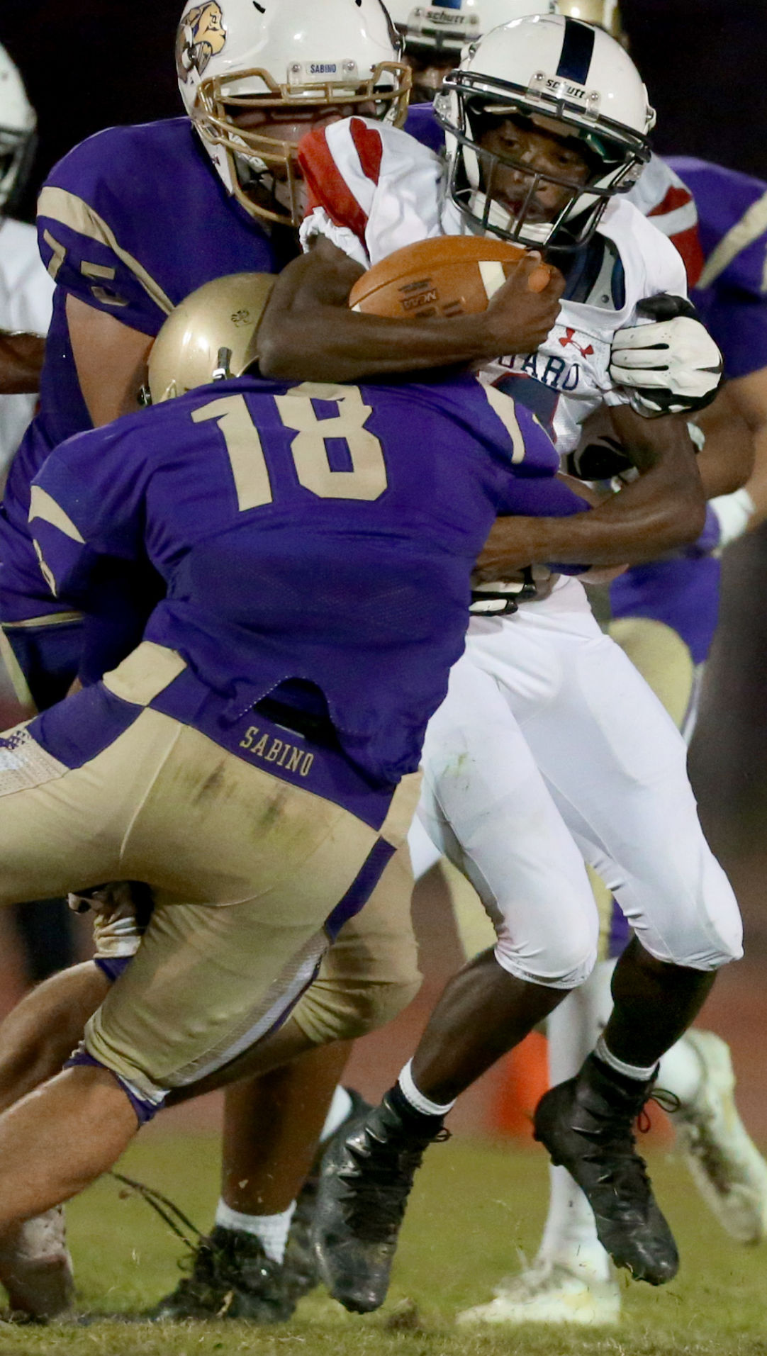 Sabino vs Sahuaro